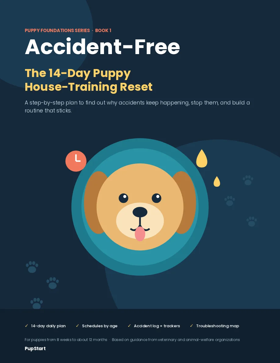 Accident-Free preview page: Cover
