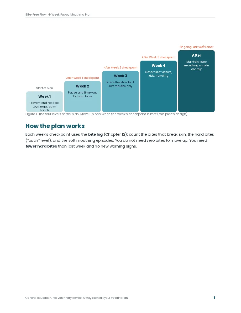 Bite-Free Play preview page: Inside: a core plan page