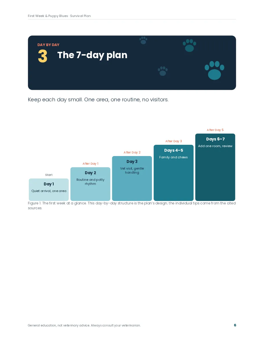 Puppy Blues Survival Guide preview page: Inside: a core plan page